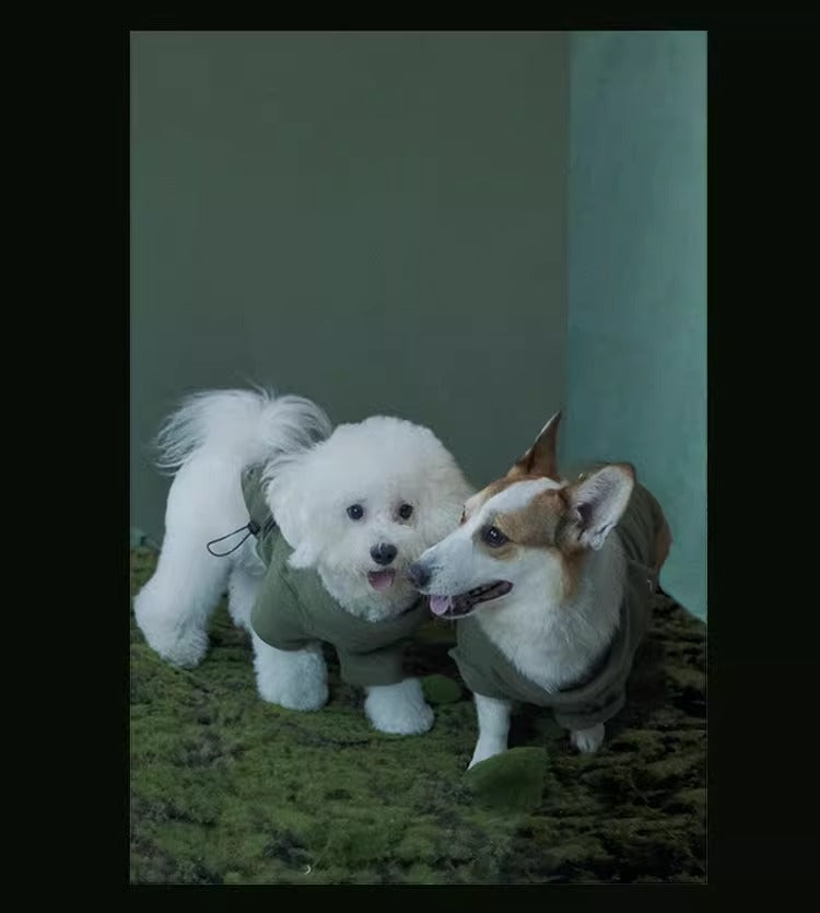 Multi-Function Dog Sweater and Harness