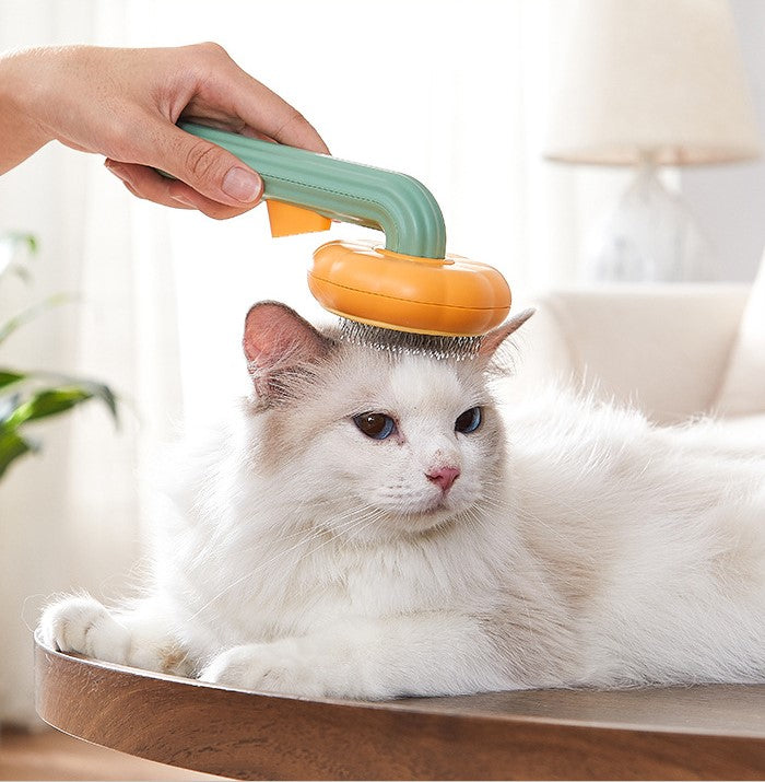 Pet Cat Dog Pumpkin Brush