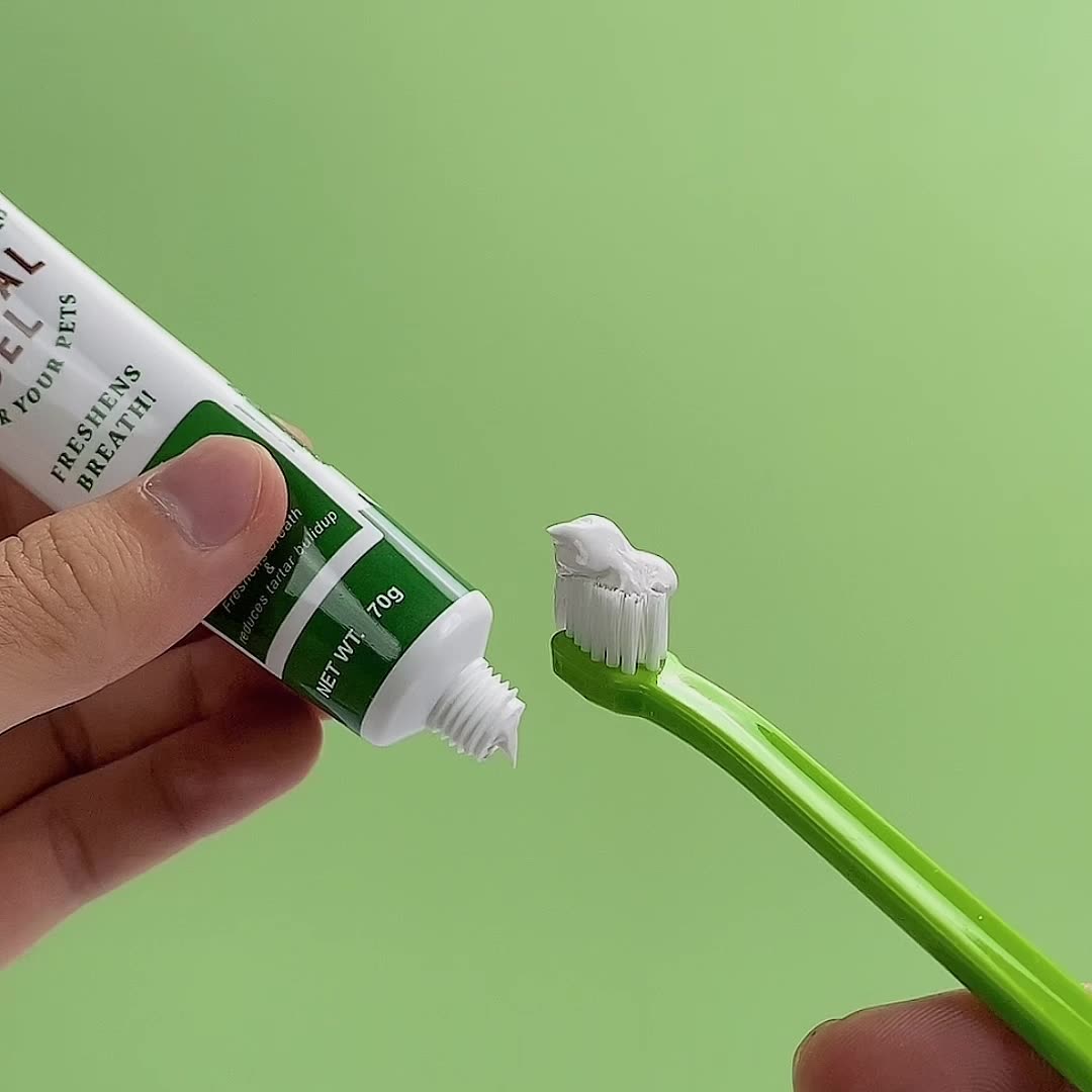 Pet Dog Cat Toothpaste Beef Flavoured