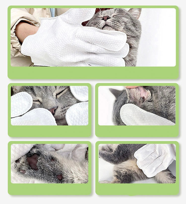 Pet Cat Dog Disposable Cleaning Gloves (6pcs/Pack)