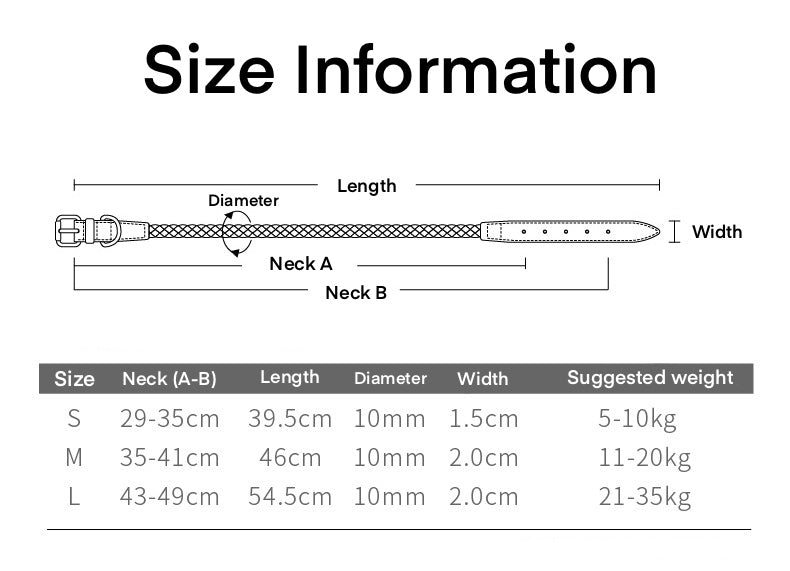 Braided Leather Dog Collar and Leash Set