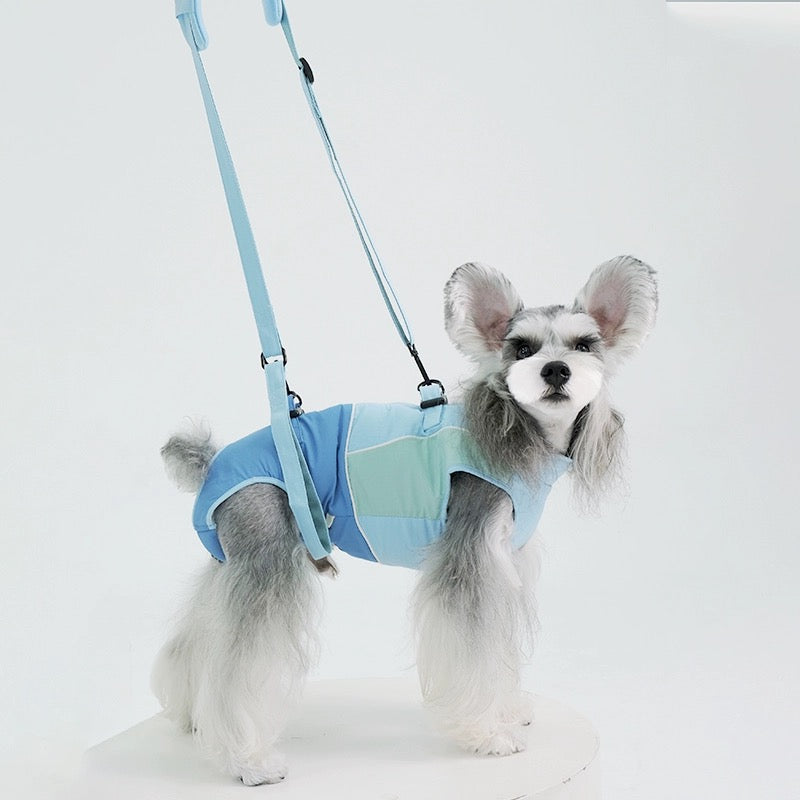Multi-Function Dog Cloth and Carrier