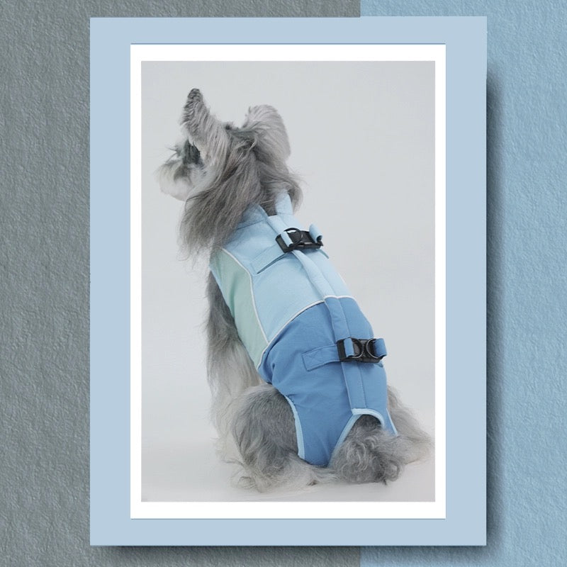 Multi-Function Dog Cloth and Carrier