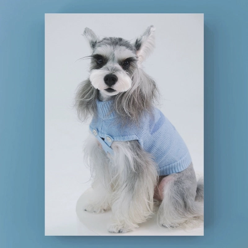 Pet Cat Dog Sleeveless Blue Sweater