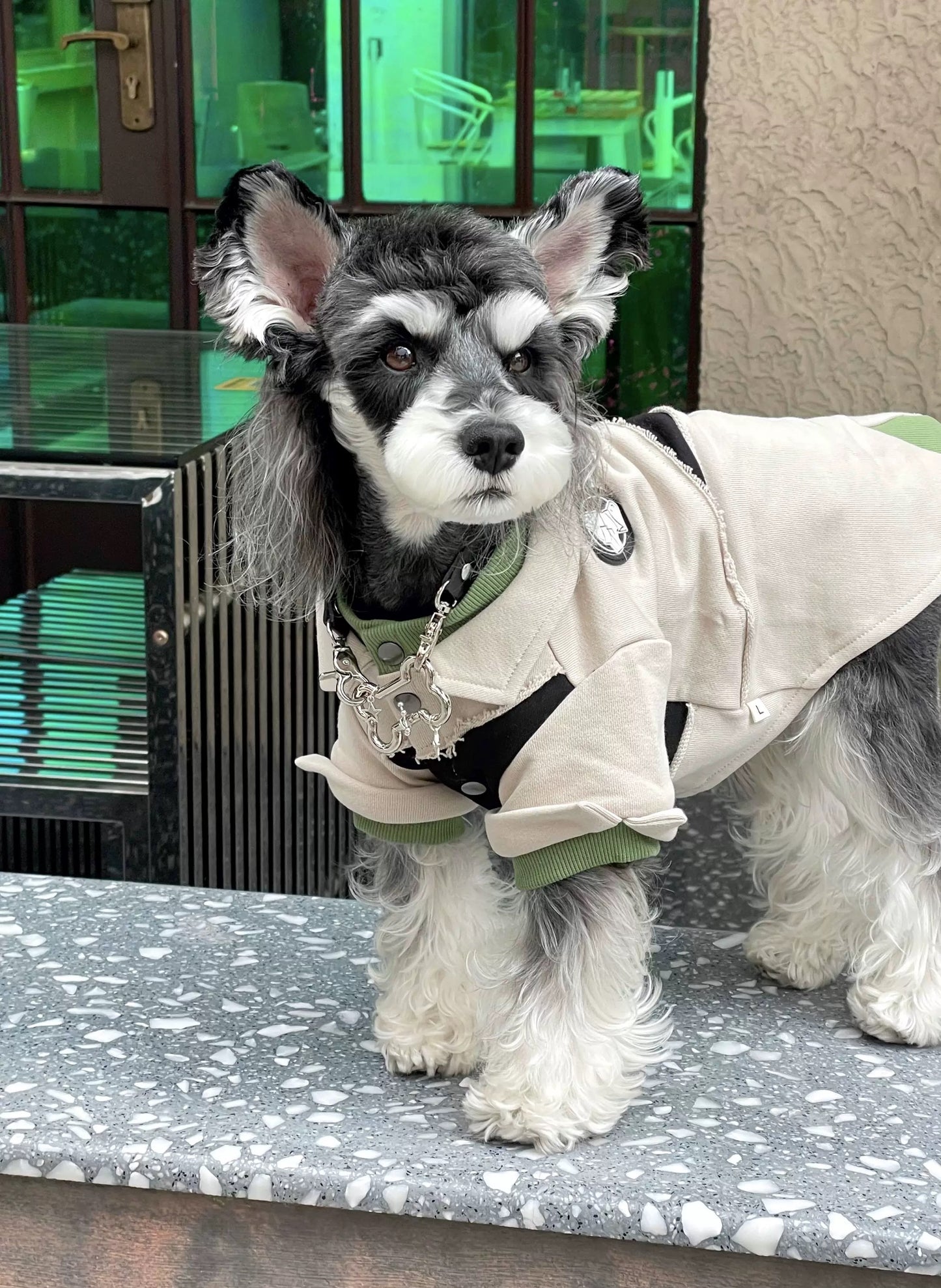 Dog Hoodie - Stylish Colour-blocked Design