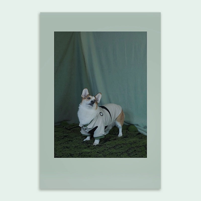 Dog Hoodie - Stylish Colour-blocked Design