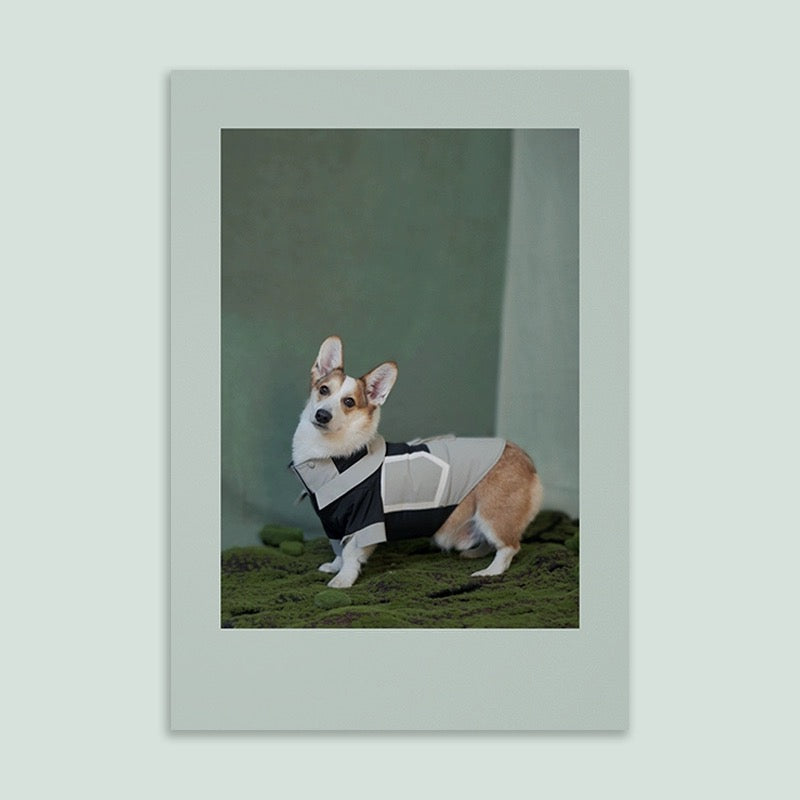 Dog Waterproof Jacket