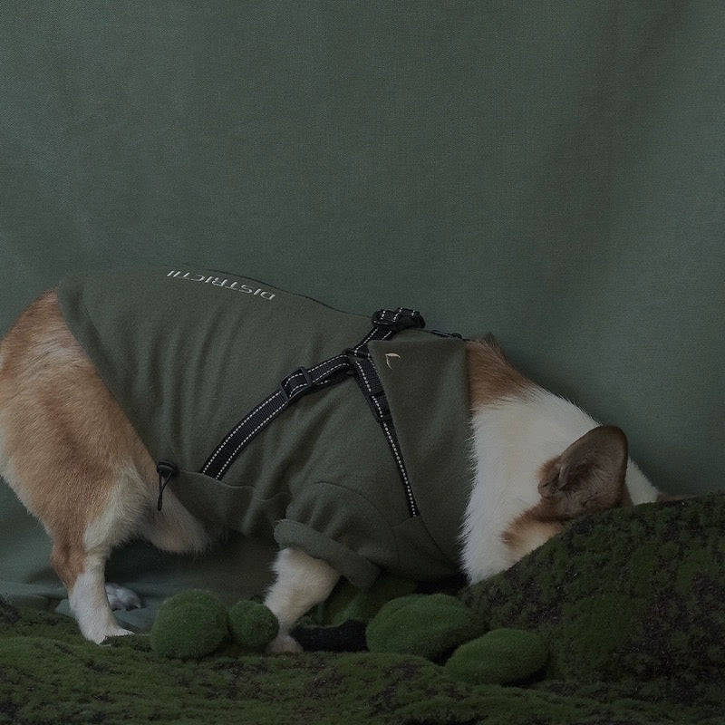 Multi-Function Dog Sweater and Harness