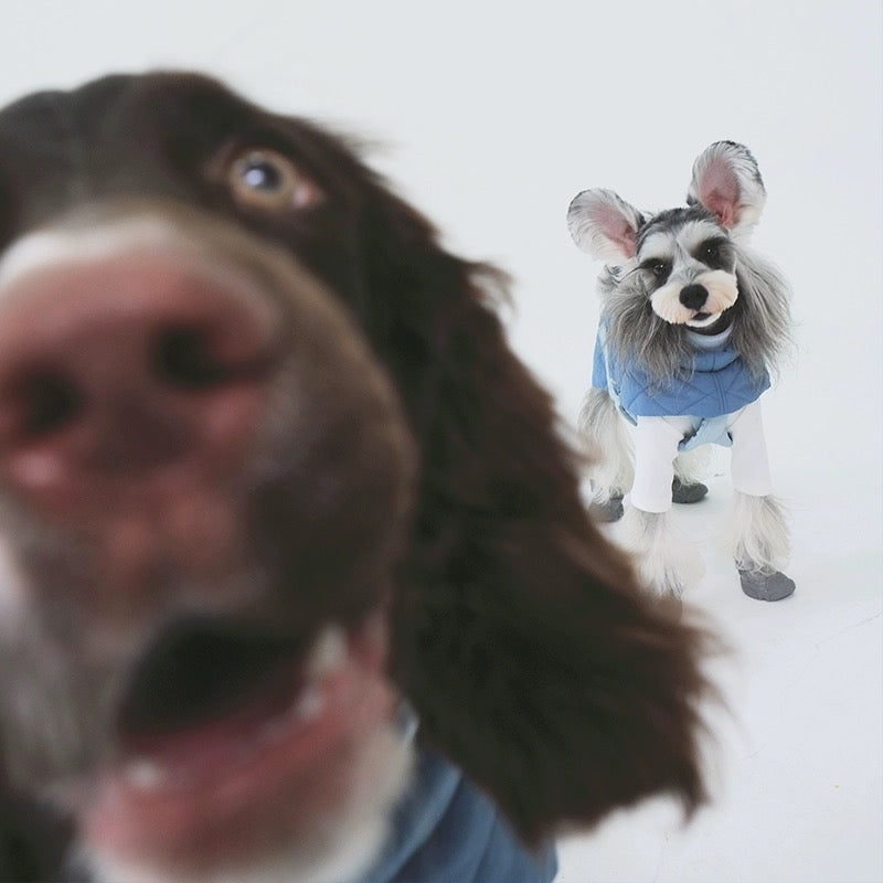 (Pre-Order) Multi-Function Dog Cloak Coat and Harness