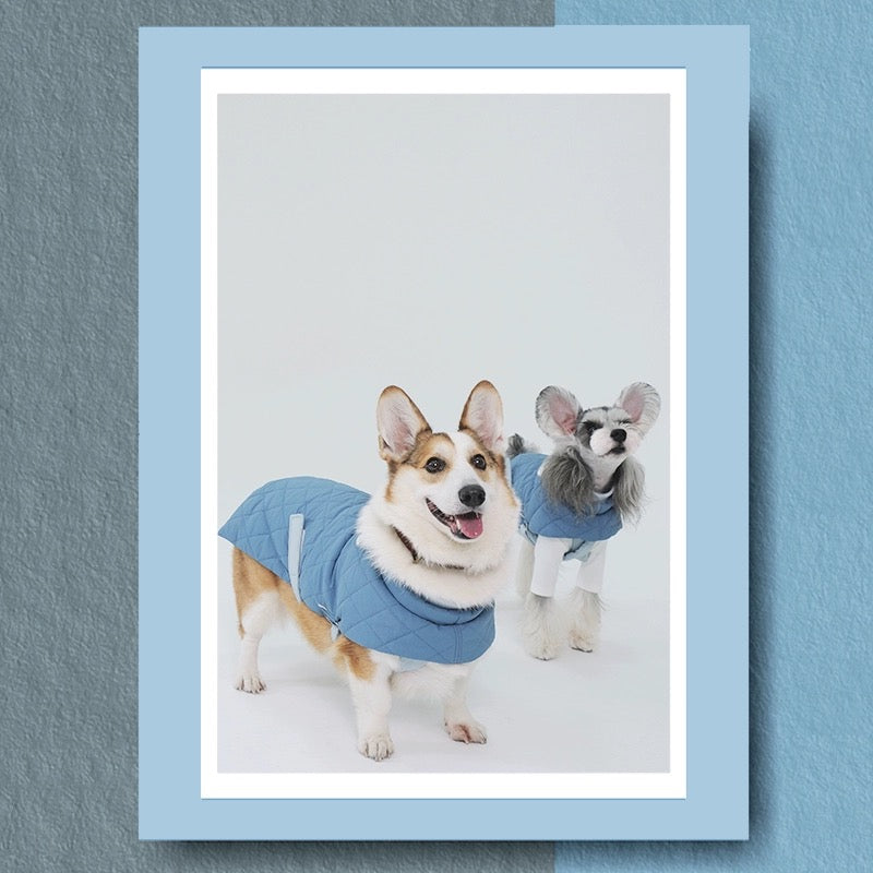 (Pre-Order) Multi-Function Dog Cloak Coat and Harness