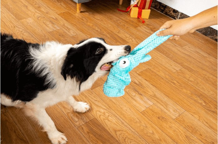 Dog Toy - Plush Cotton Rope Squid