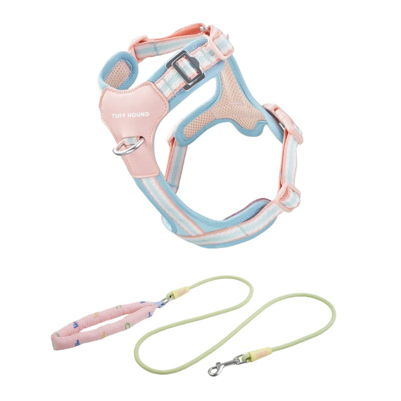 Dog Harnesses, Collars and Leads