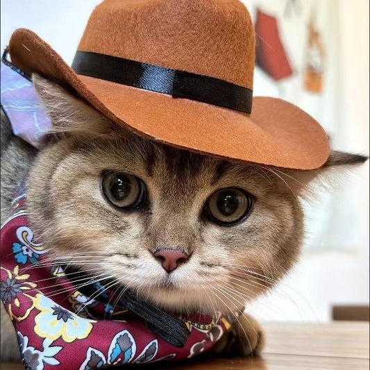 Pet Cat Dog Cowboy Suit - Hat and Bib