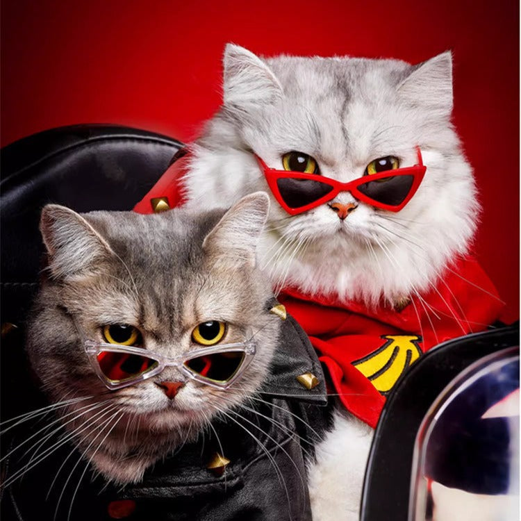 Pet Cat Dog Triangle-Shaped Sunglasses Sizes for Small Breed
