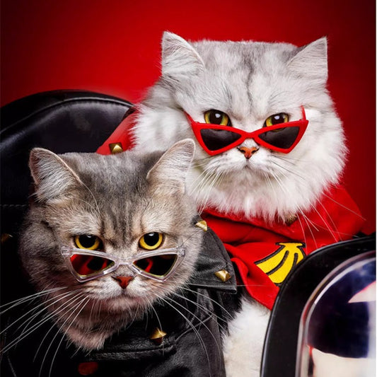 Pet Cat Dog Triangle-Shaped Sunglasses Sizes for Small Breed