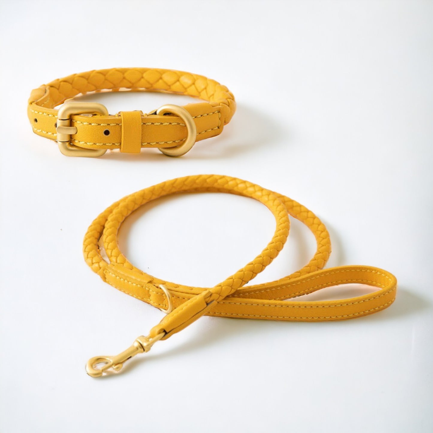Braided Leather Dog Collar and Leash Set