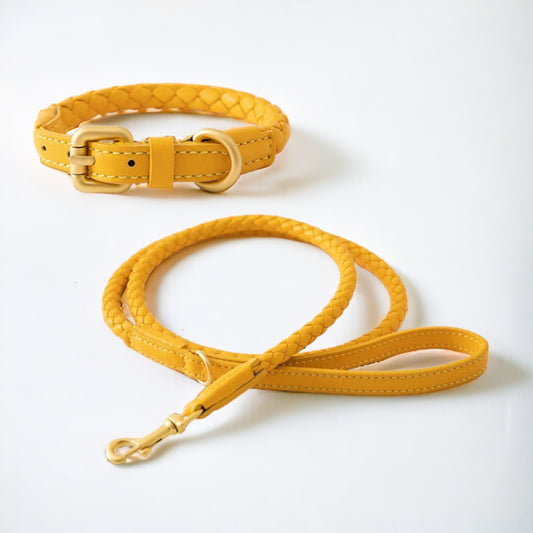 Braided Leather Dog Collar and Leash Set