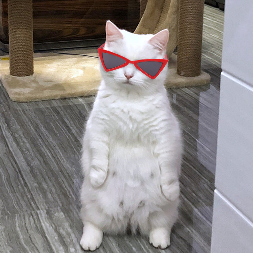 Pet Cat Dog Triangle-Shaped Sunglasses Sizes for Small Breed