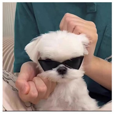 Pet Cat Dog Triangle-Shaped Sunglasses Sizes for Small Breed