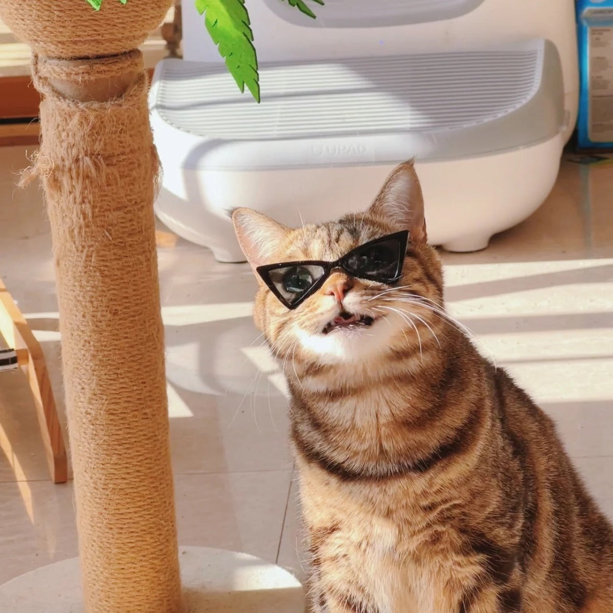 Pet Cat Dog Triangle-Shaped Sunglasses Sizes for Small Breed