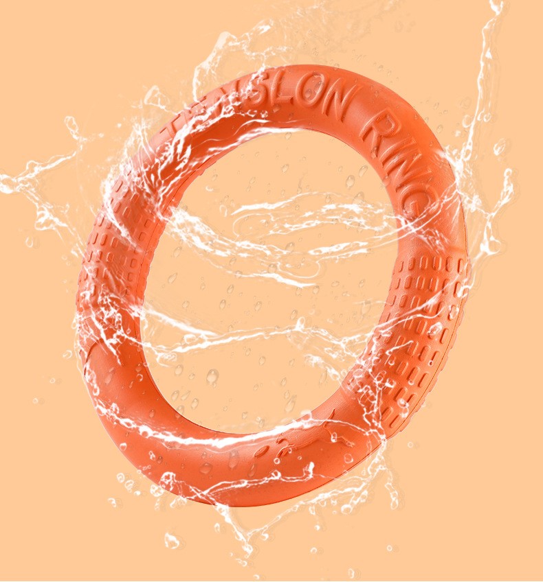Chew Ring and Flying Disc Dog Training Toy