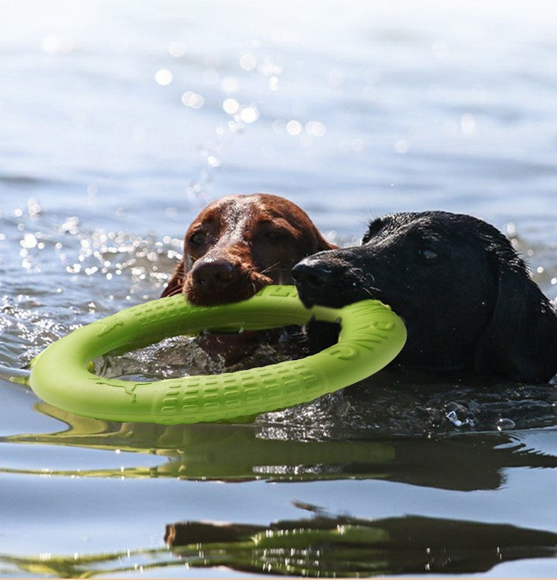 Chew Ring and Flying Disc Dog Training Toy