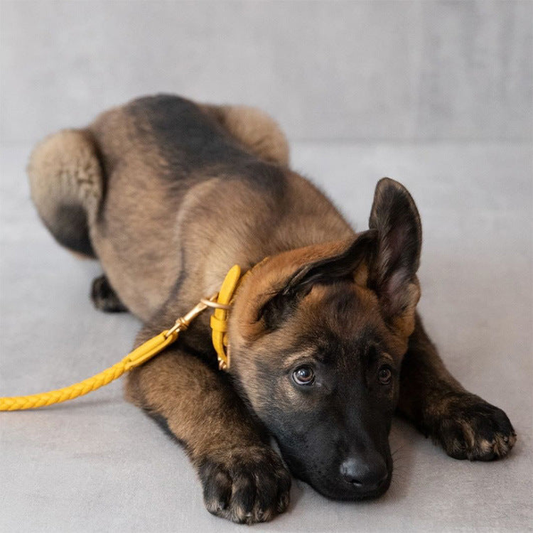 Braided Leather Dog Collar and Leash Set