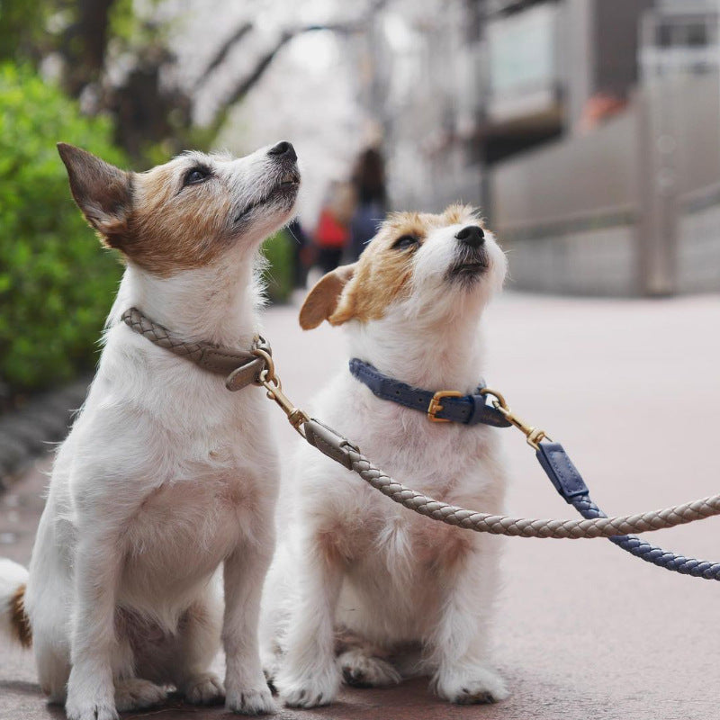 Braided Leather Dog Collar and Leash Set