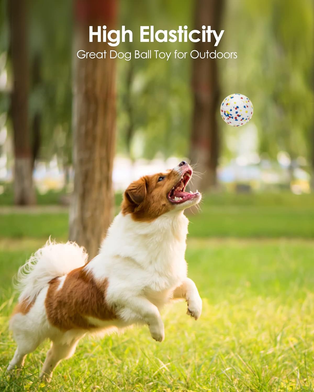 Dog Waterproof Toy Ball (2 Pcs) - Dog Bouncy Chewy Ball