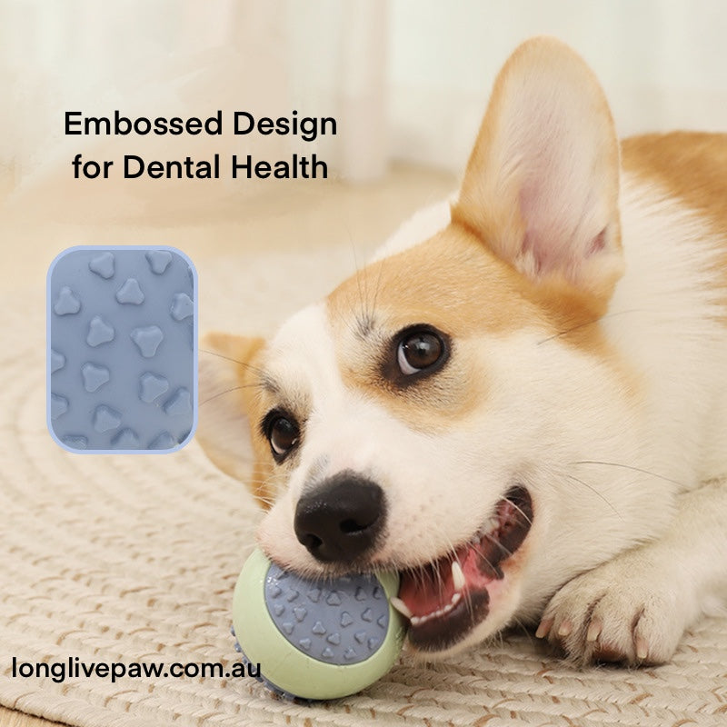 Dog Chew Rubber Latex Ball Toy