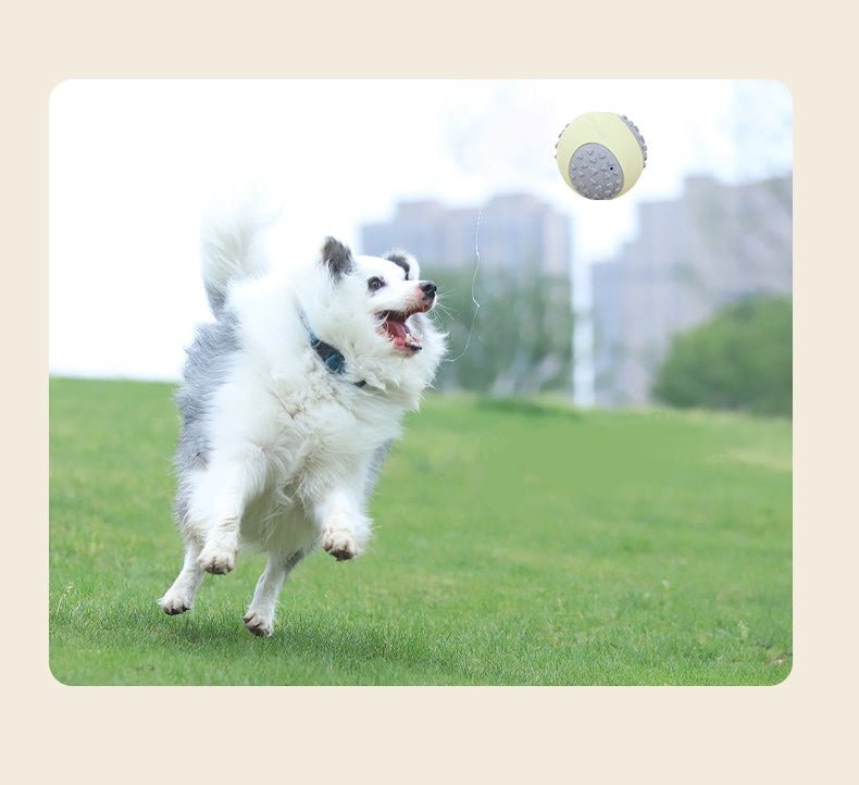 Dog Chew Rubber Latex Ball Toy