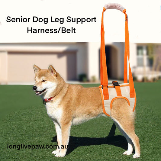 Dog Rear Leg Support Harness Support Belt for Senior Dog/ Dog After Surgery