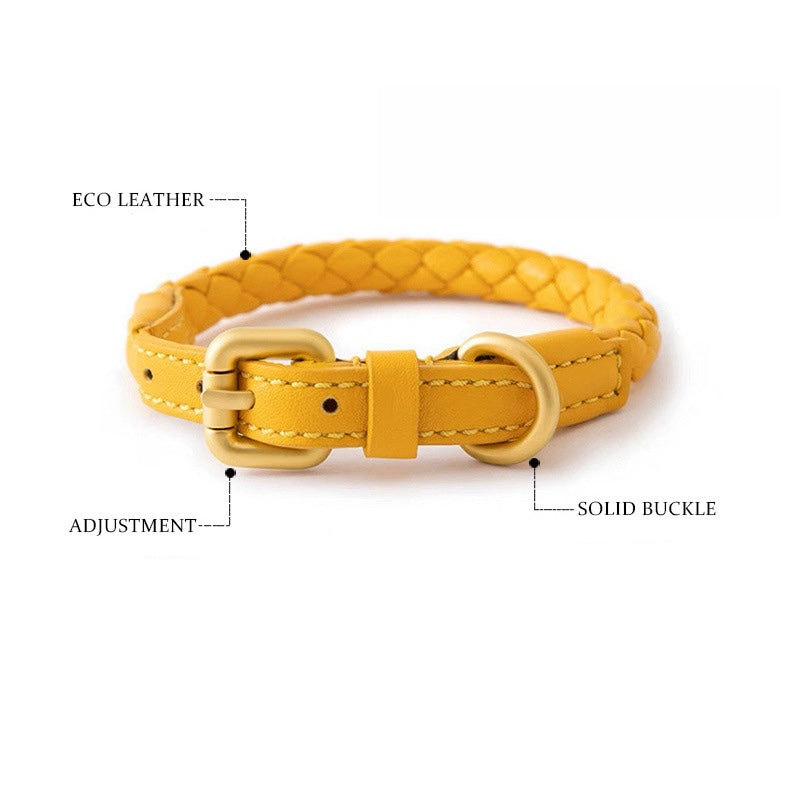 Braided Leather Dog Collar and Leash Set