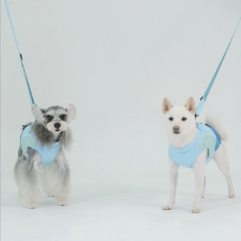 Multi-Function Dog Cloth and Carrier