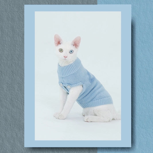 Pet Cat Dog Sleeveless Blue Sweater