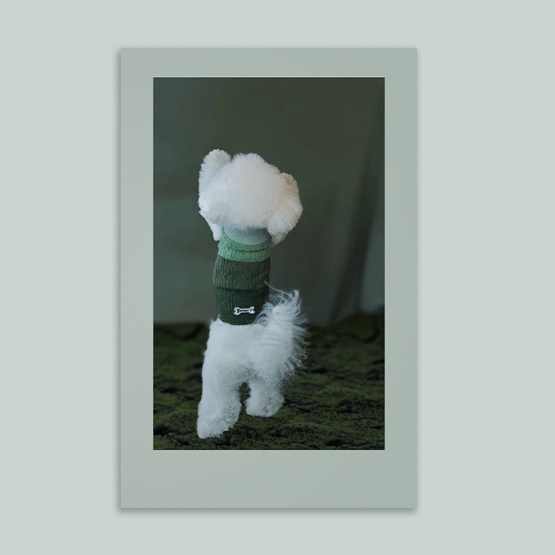 Pet Cat Dog Green Sweater