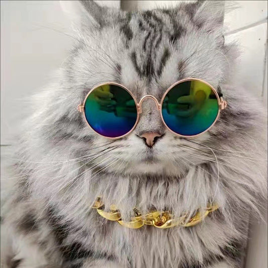 Pet Cat Dog Glasses Sizes for All Breed