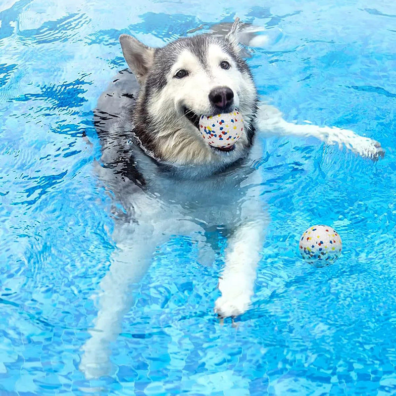 Dog Waterproof Toy Ball (2 Pcs) - Dog Bouncy Chewy Ball