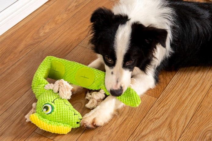 Dog Toys - Stuffed Dog Toy Lizard with Squeaker