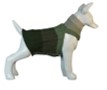 Pet Cat Dog Green Sweater